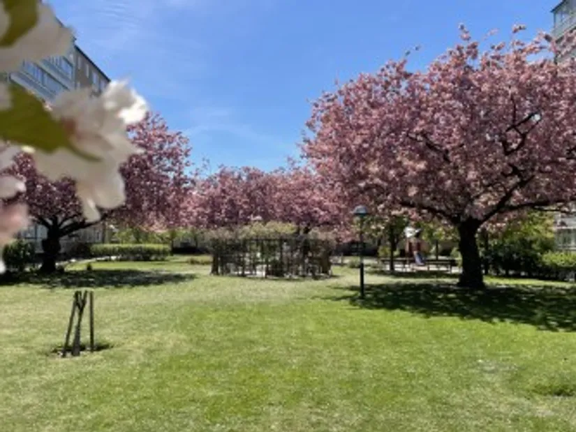 Bostadsrätt, Annebergsgatan 4C, Borgmästaregården, Malmö