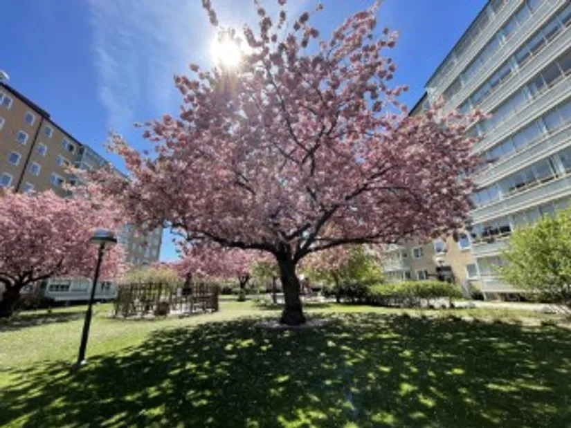 Bostadsrätt, Annebergsgatan 4C, Borgmästaregården, Malmö