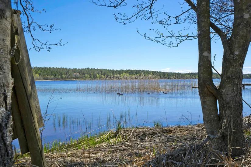 Fritidshus, Linneryd 3, Småland, Vaggeryd