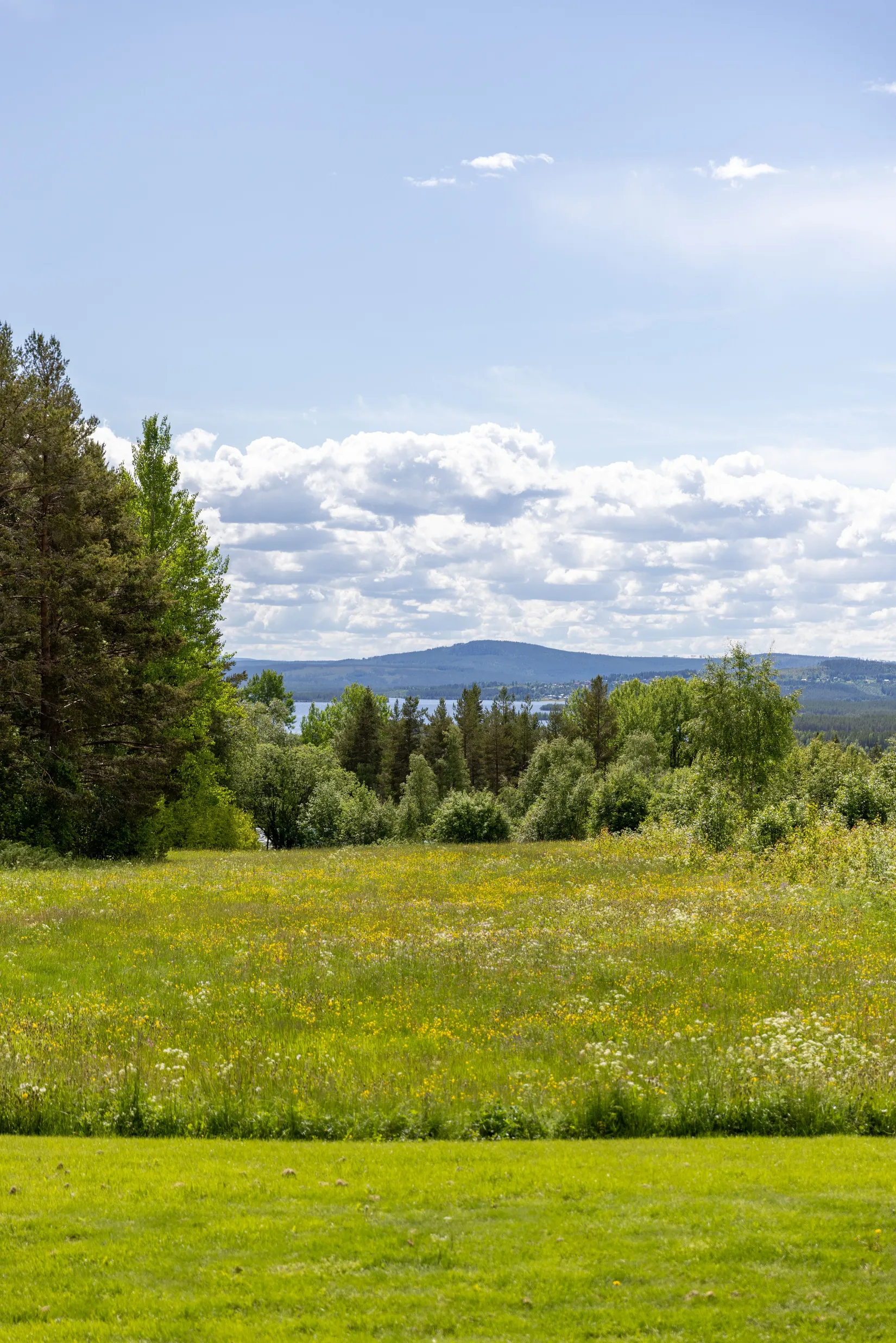 Villa, Överberg Jänspers 630, Sveg - Överberg, Härjedalen