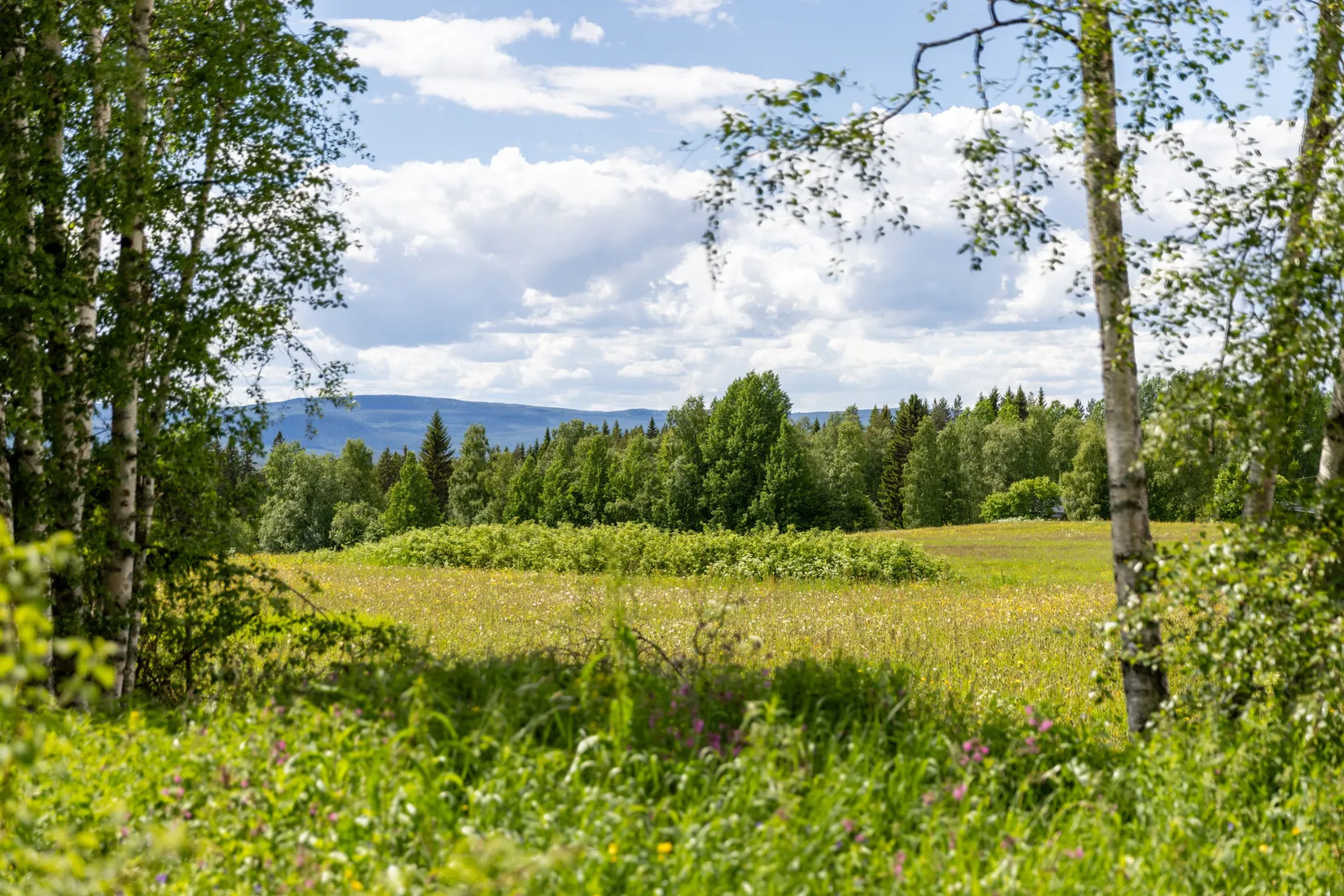 Villa, Överberg Jänspers 630, Sveg - Överberg, Härjedalen