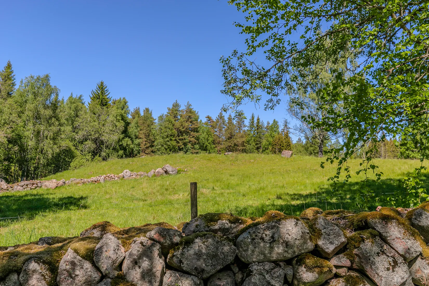 Gård/Skog, Lugnet 1, Rydsnäs, Ydre