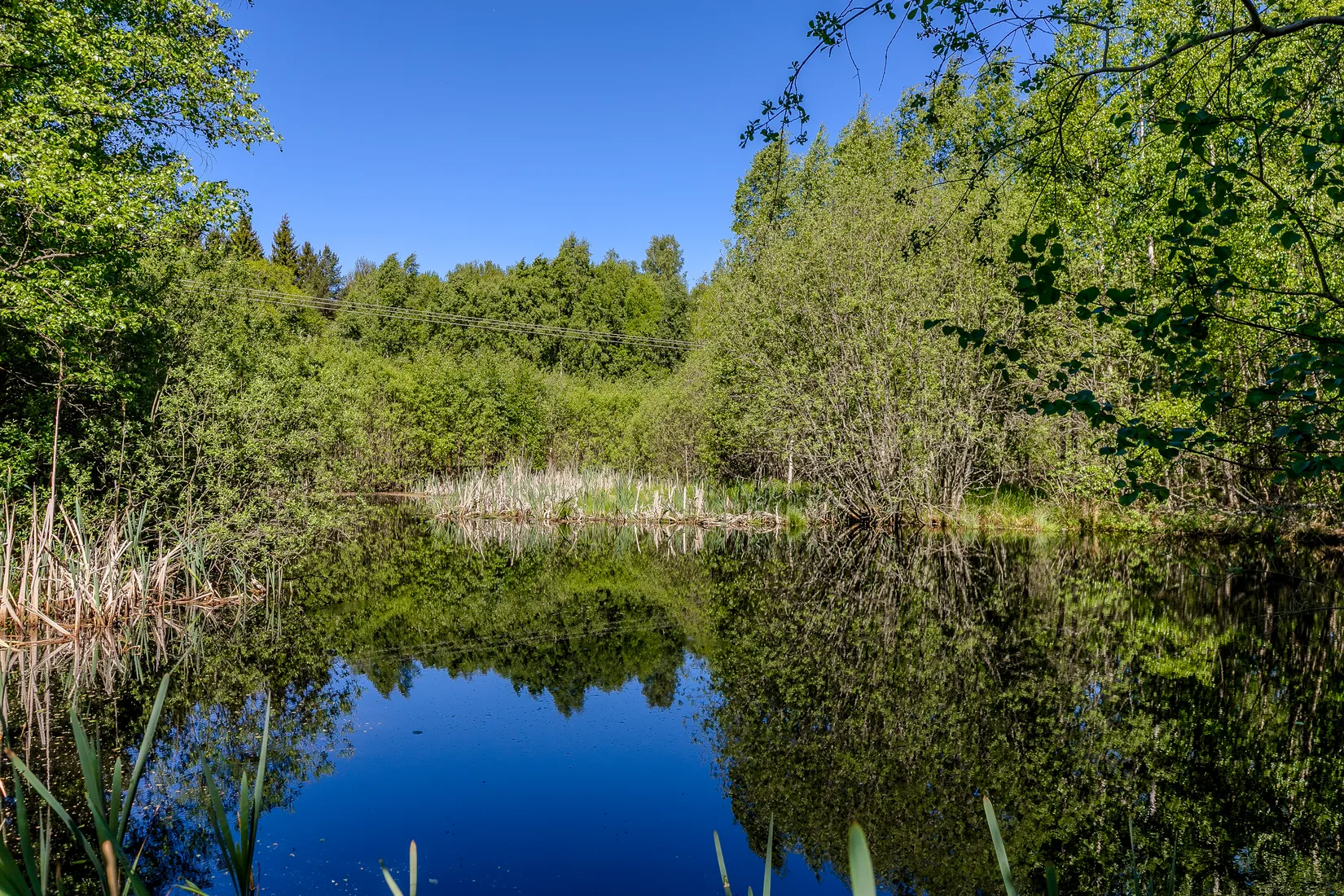 Gård/Skog, Lugnet 1, Rydsnäs, Ydre