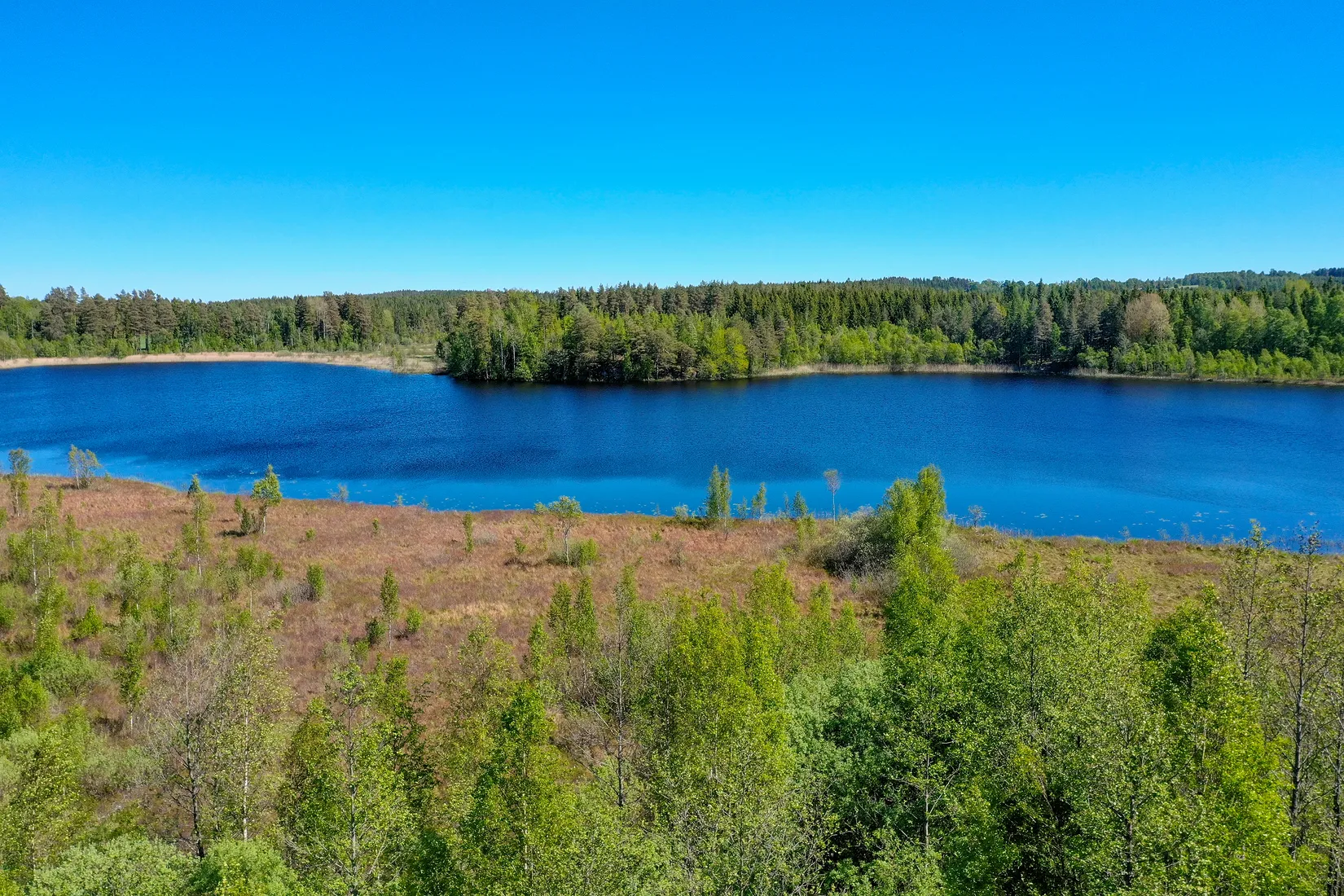 Gård/Skog, Lugnet 1, Rydsnäs, Ydre