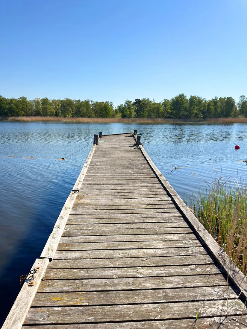 Gård/Skog, Dalamadsvägen 1 mfl, Skillingenäs, Karlskrona