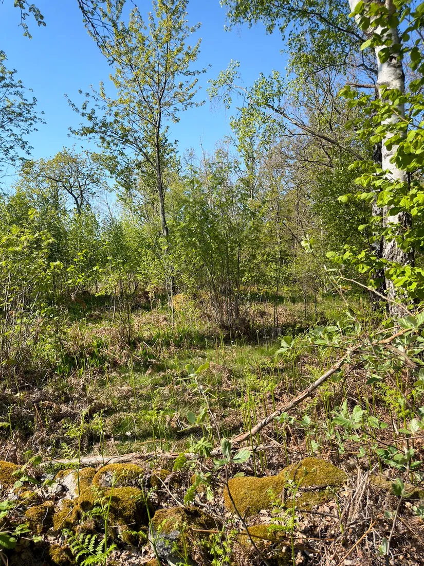 Gård/Skog, Dalamadsvägen 1 mfl, Skillingenäs, Karlskrona