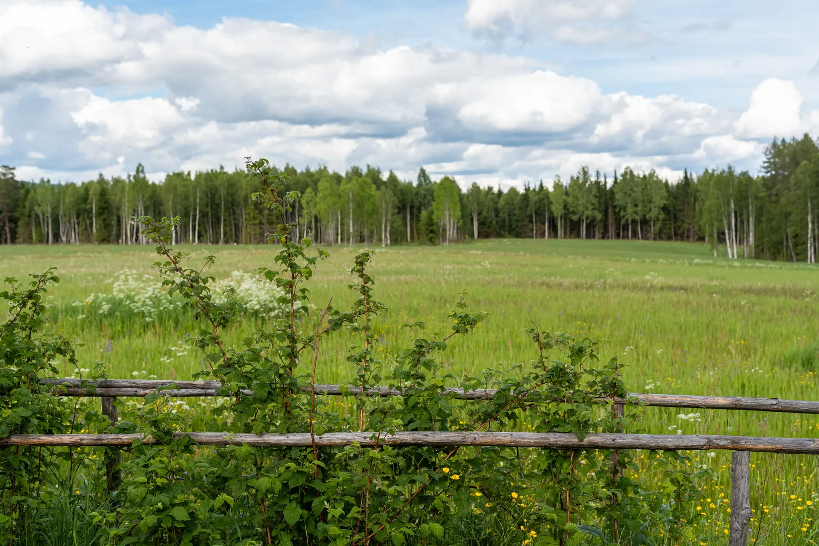 Fritidshus, Kilbovägen 21, Färila, Kilbo, Ljusdal