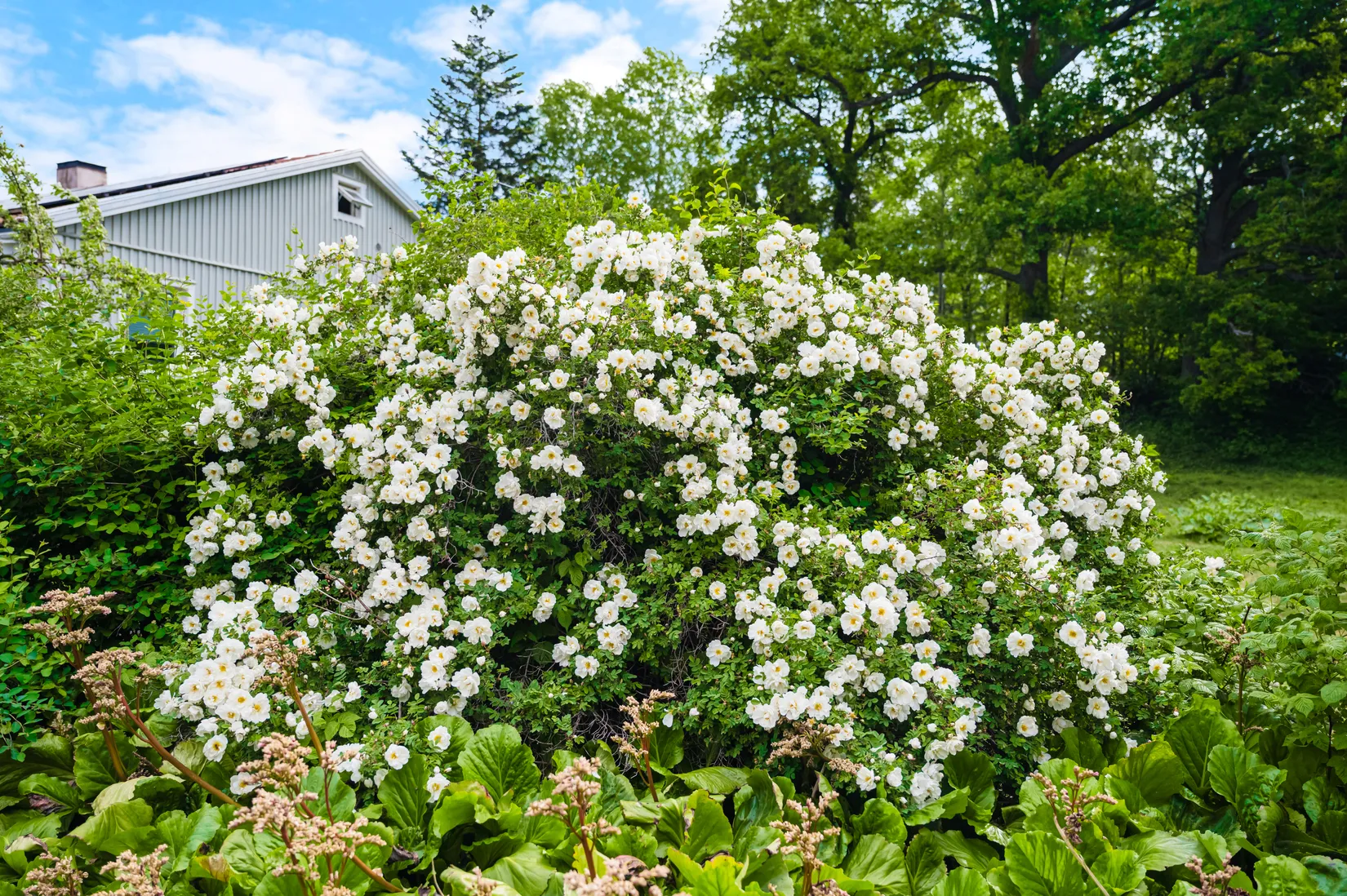 Villa, Dressyrvägen 13, Jakobsberg, Järfälla