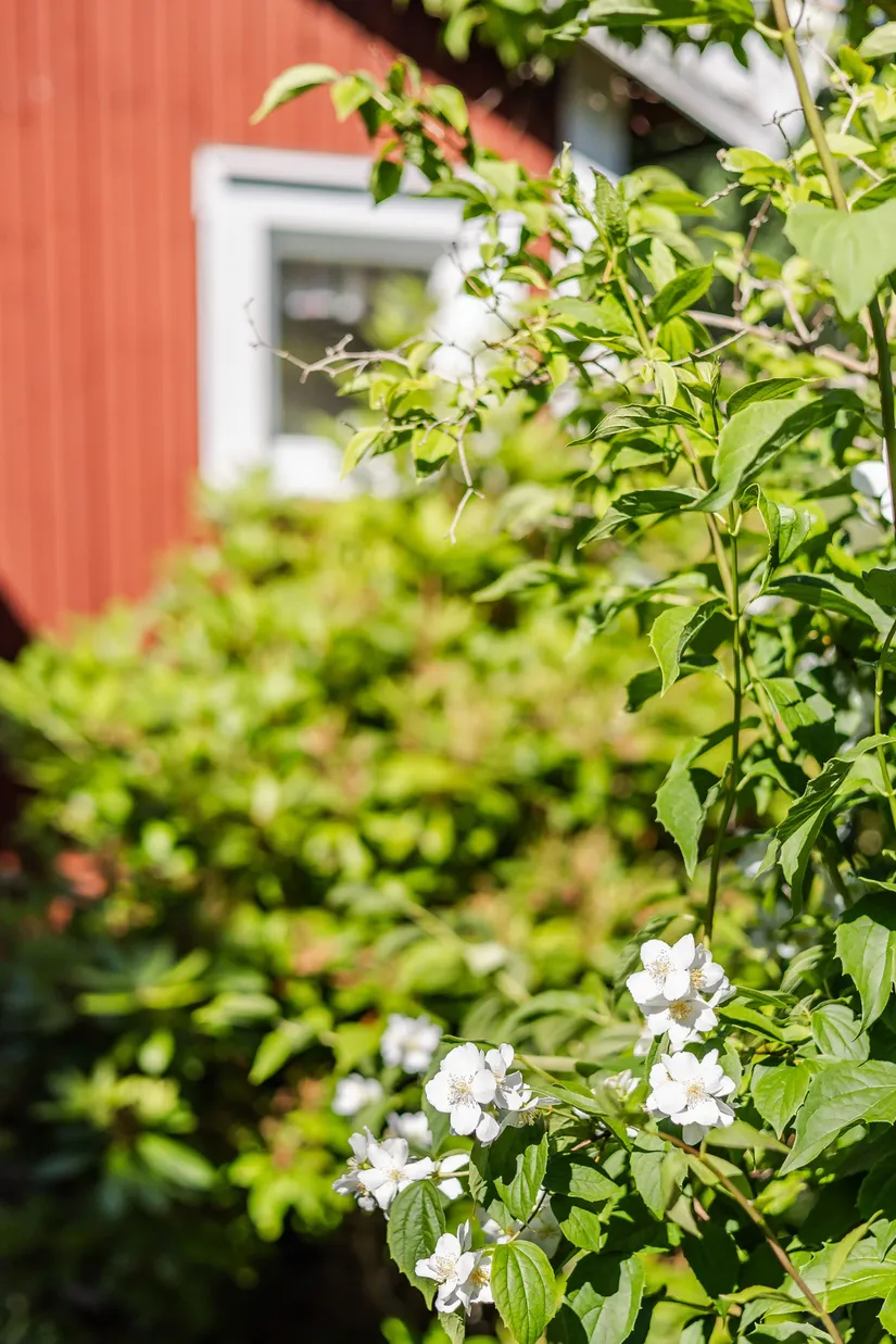 Fritidshus, Långedalsvägen 13, Marstrand - Koön, Kungälv
