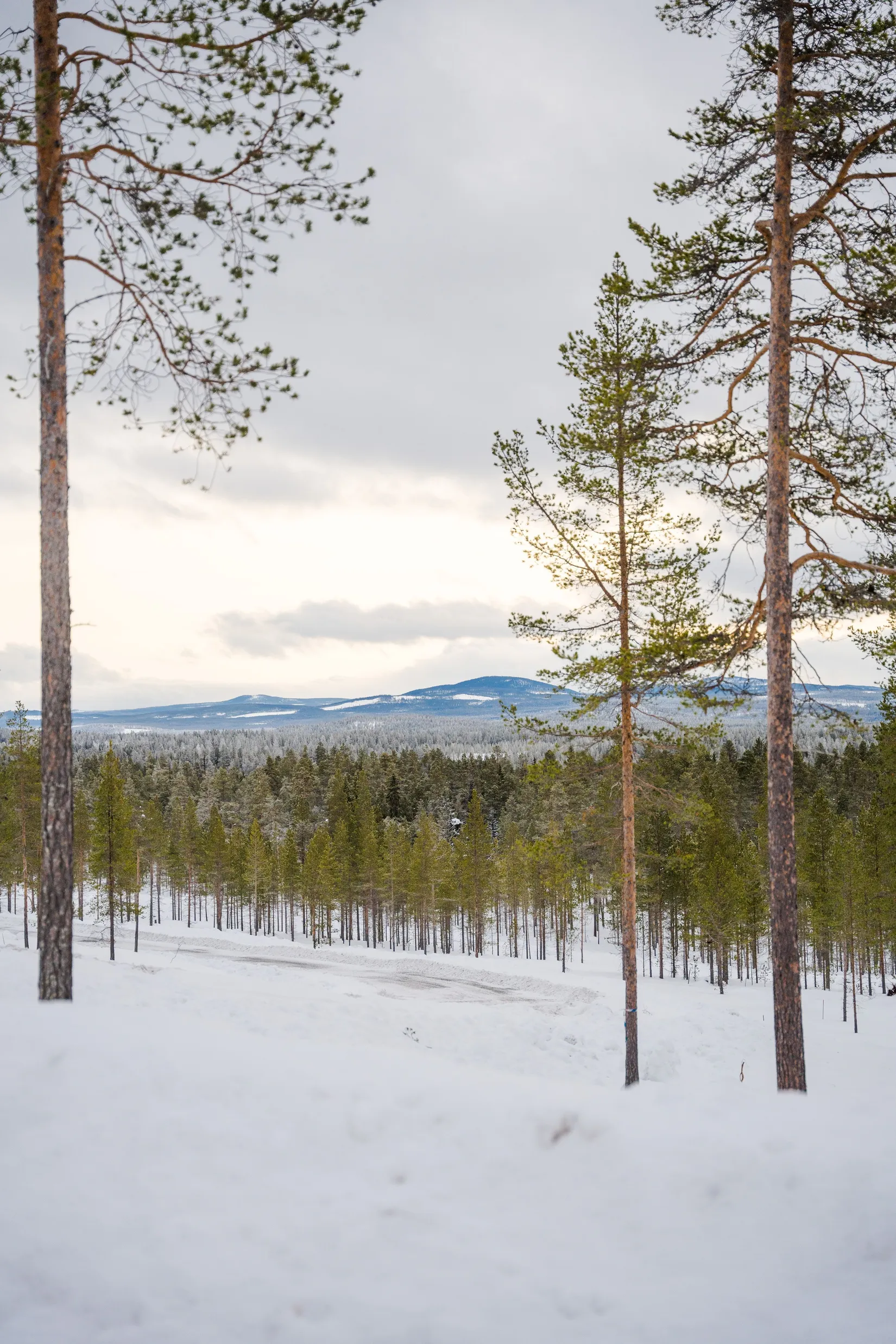 Tomt, Nedre Parkbyvägen 8, Idre Fjäll, Älvdalen