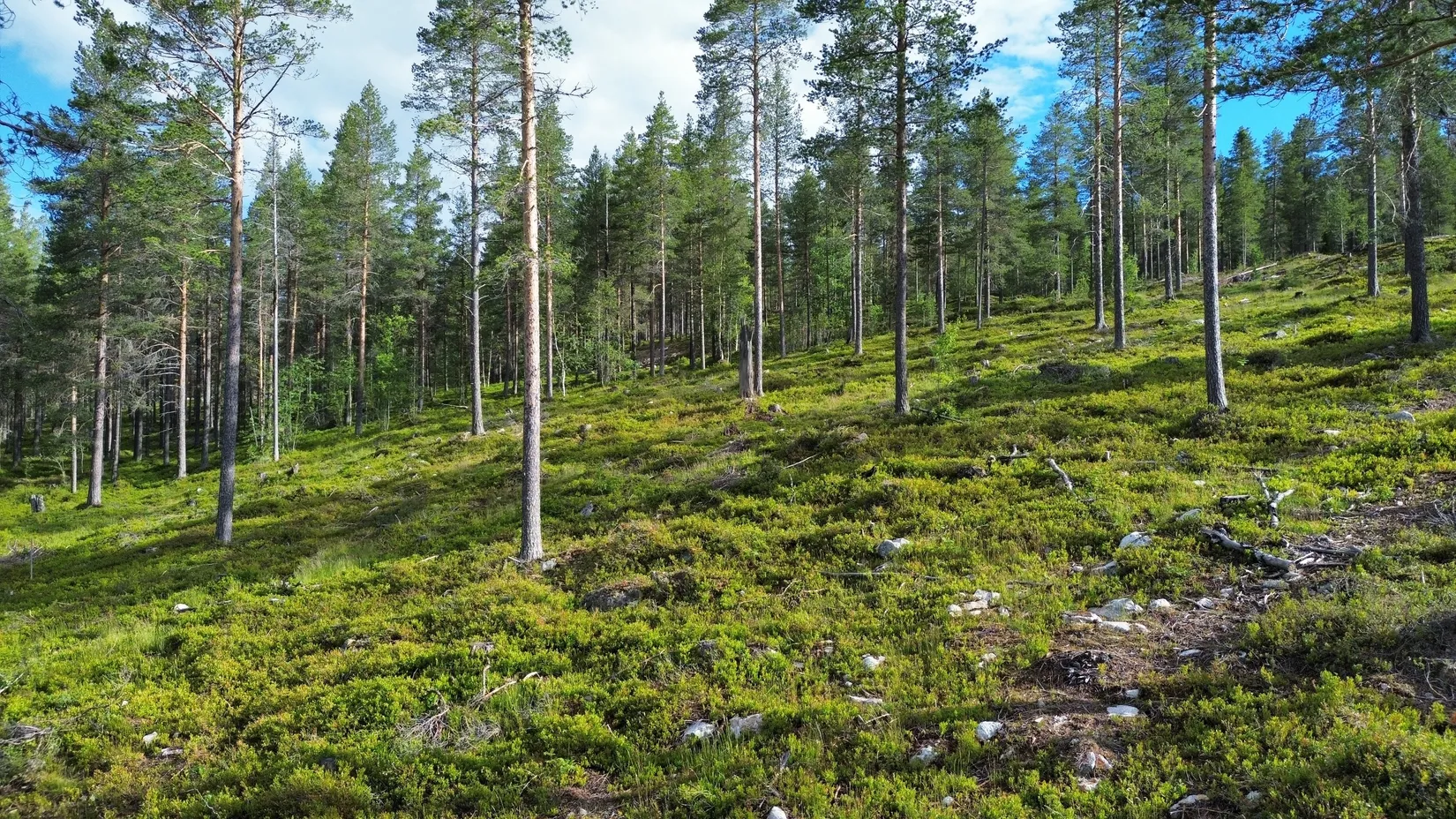 Tomt, Nedre Parkbyvägen 8, Idre Fjäll, Älvdalen
