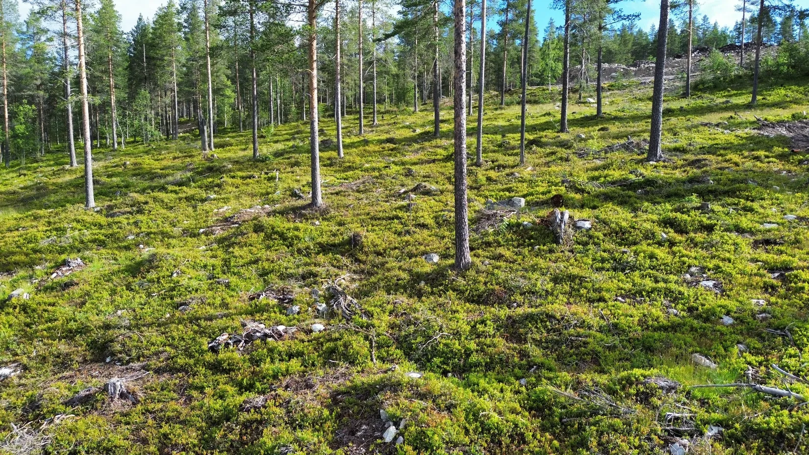 Tomt, Nedre Parkbyvägen 8, Idre Fjäll, Älvdalen