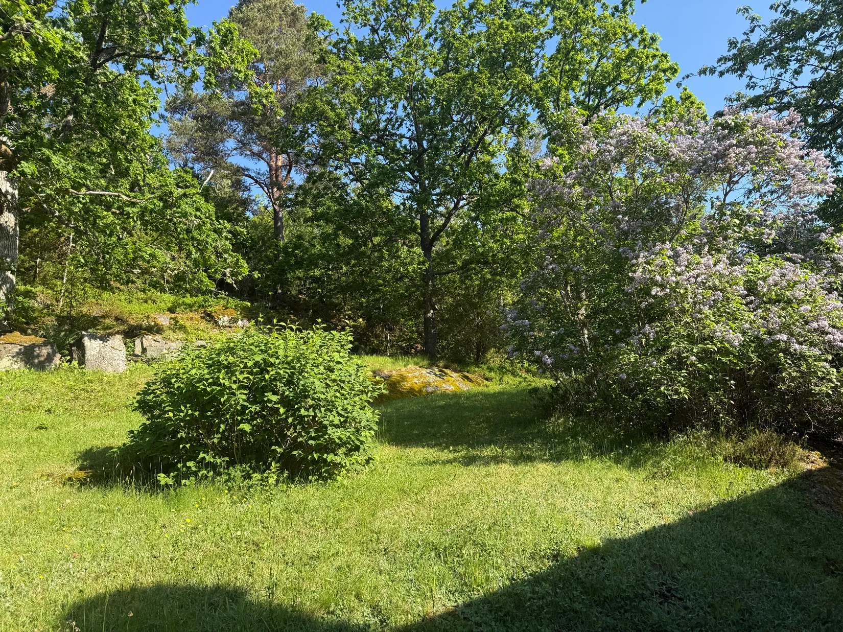 Gård/Skog, Lärketorpsvägen 9, Västra Bodarna, Alingsås