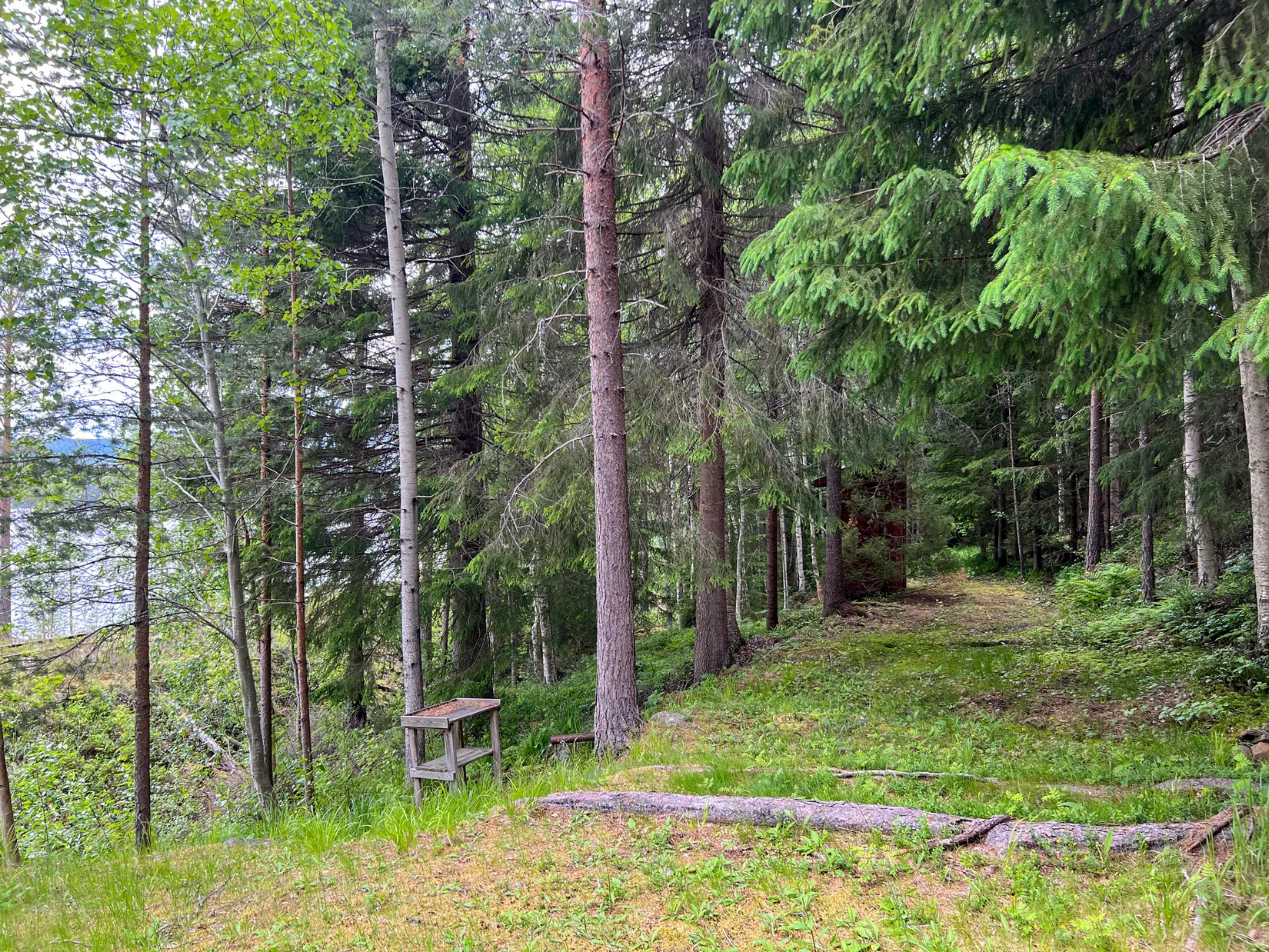 Villa, Skålö 8:19, Vansbro
