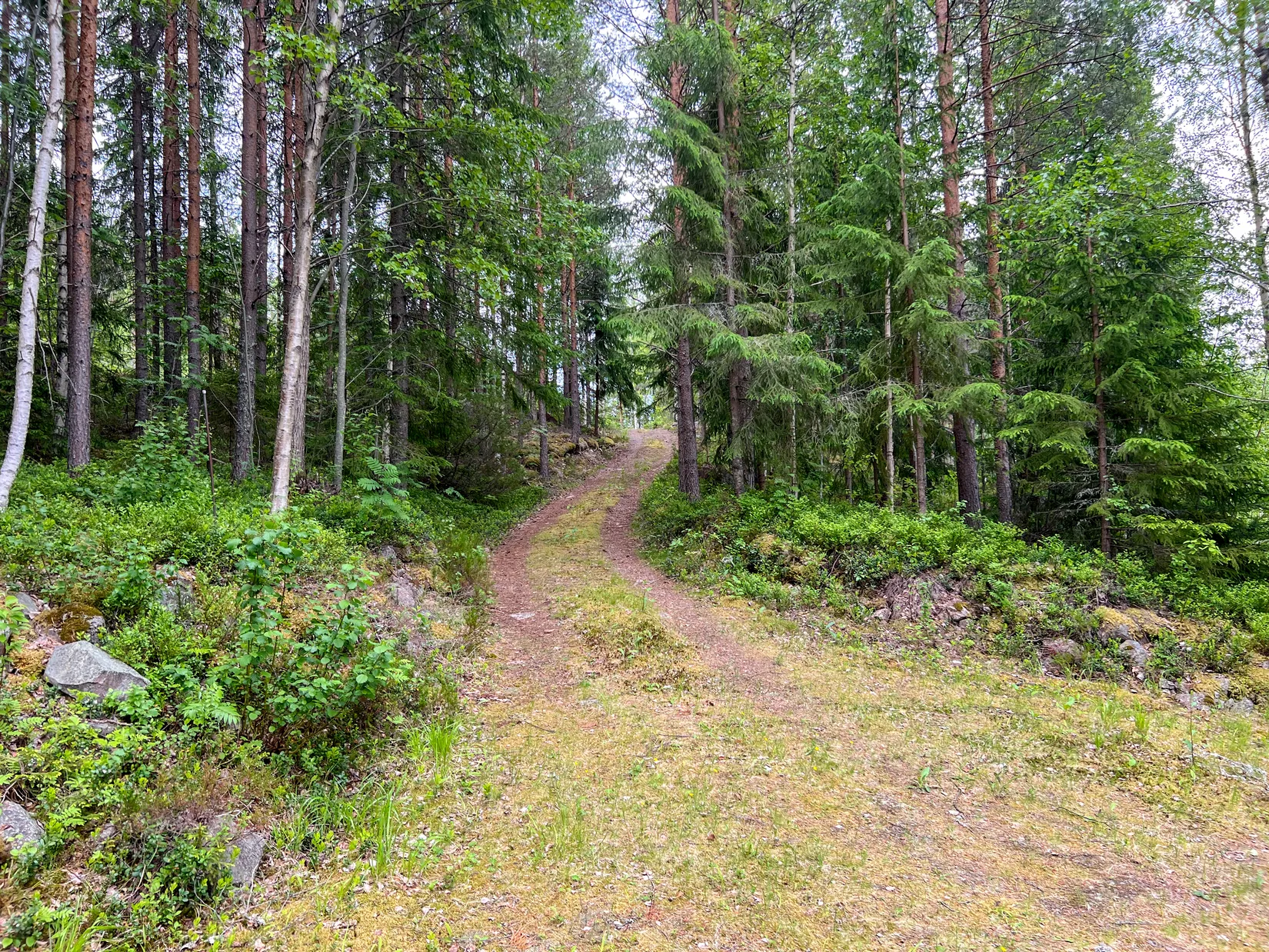 Villa, Skålö 8:19, Vansbro