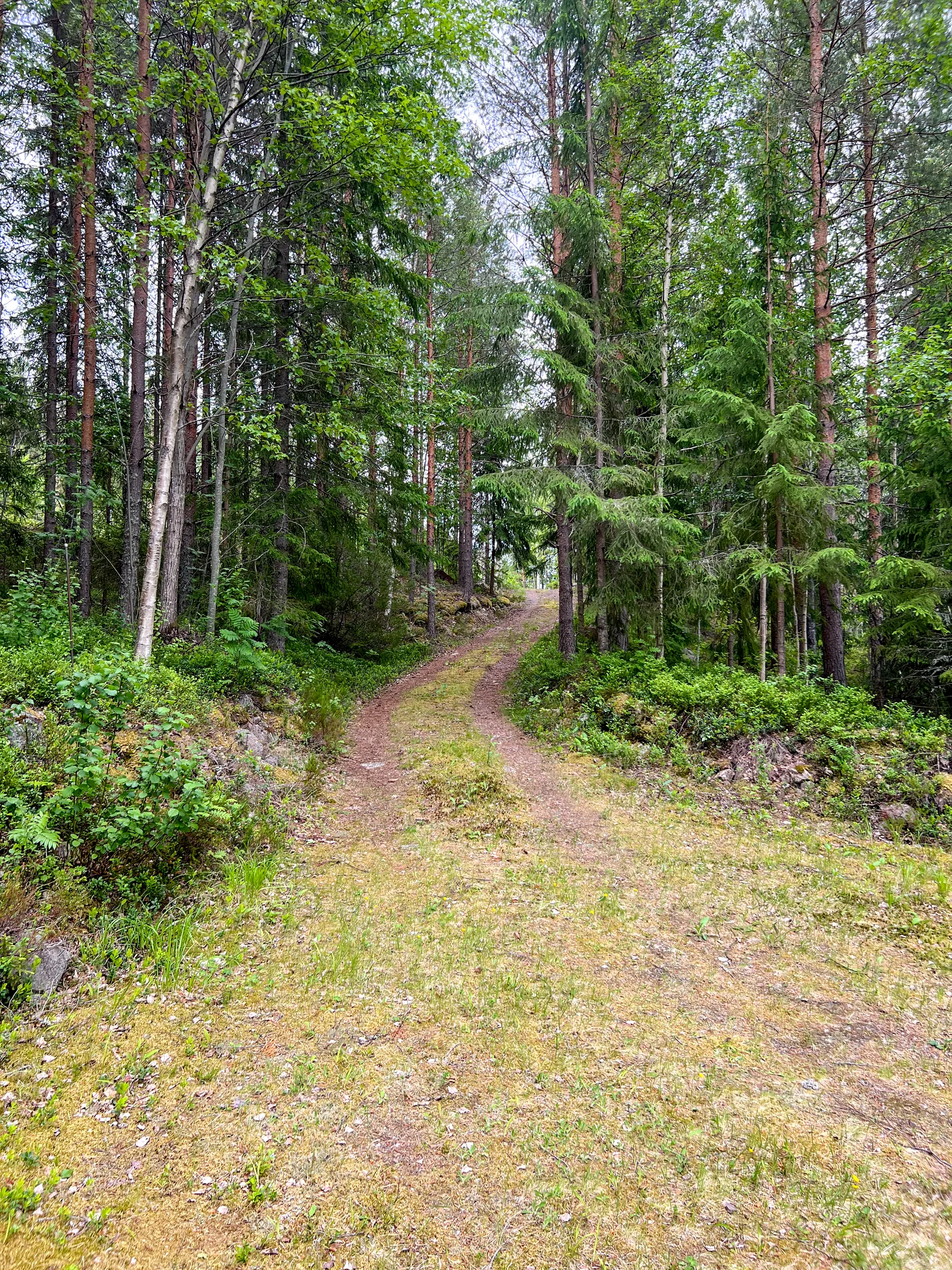 Villa, Skålö 8:19, Vansbro