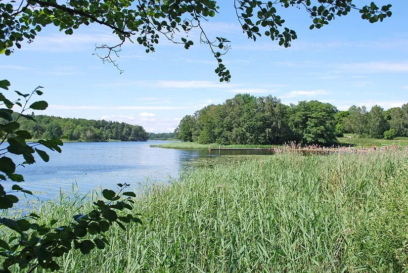 Radhus, Arvikagatan 1, Larsboda, Stockholm