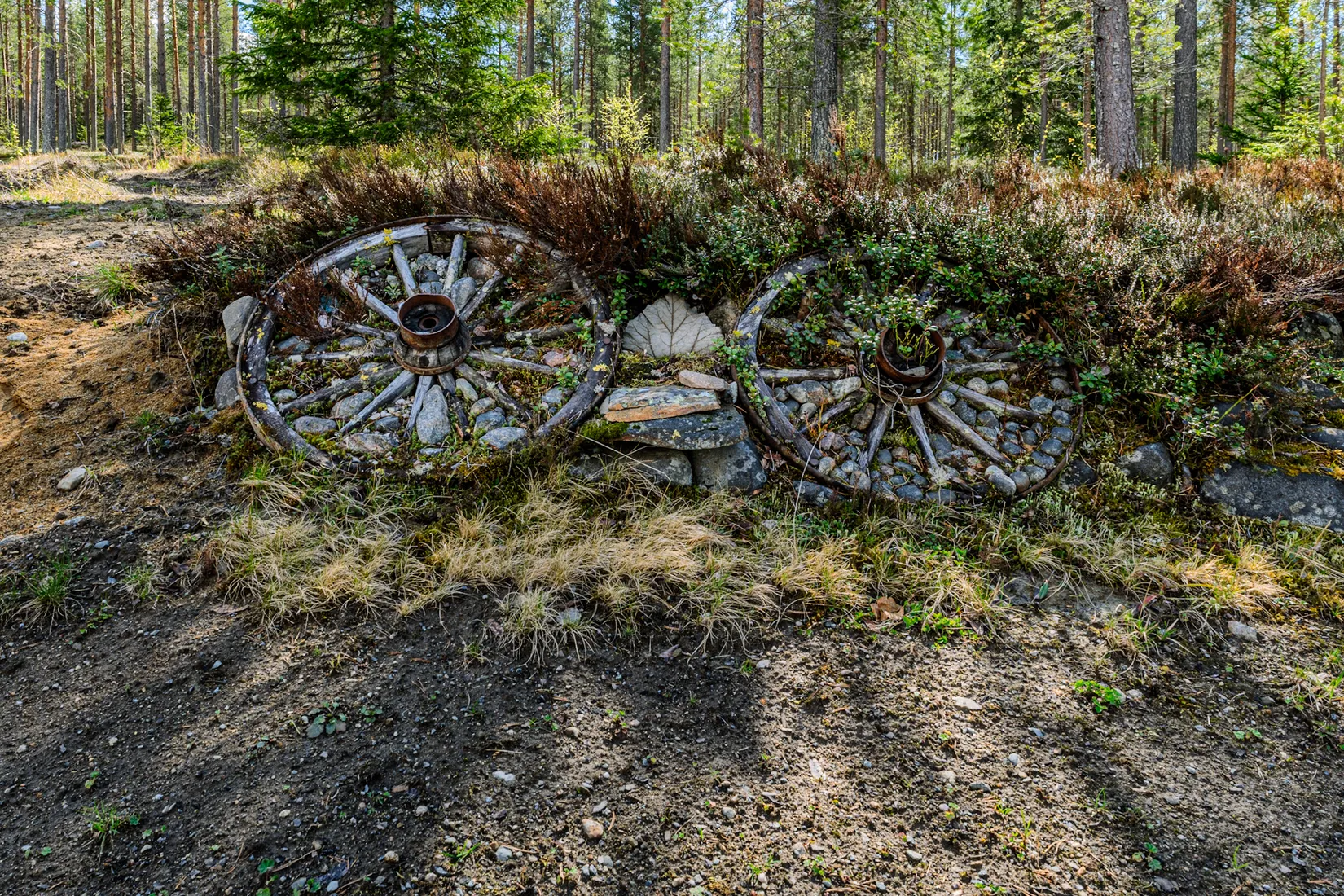 Gård/Skog, Ljusvattnet 211, Ljusvattnet, Skellefteå