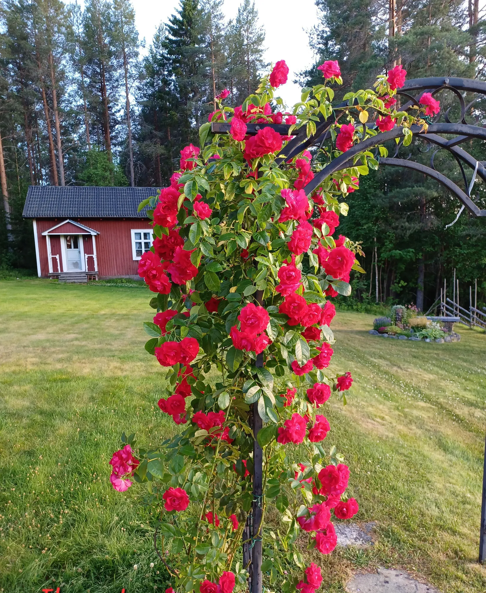 Gård/Skog, Ljusvattnet 211, Ljusvattnet, Skellefteå
