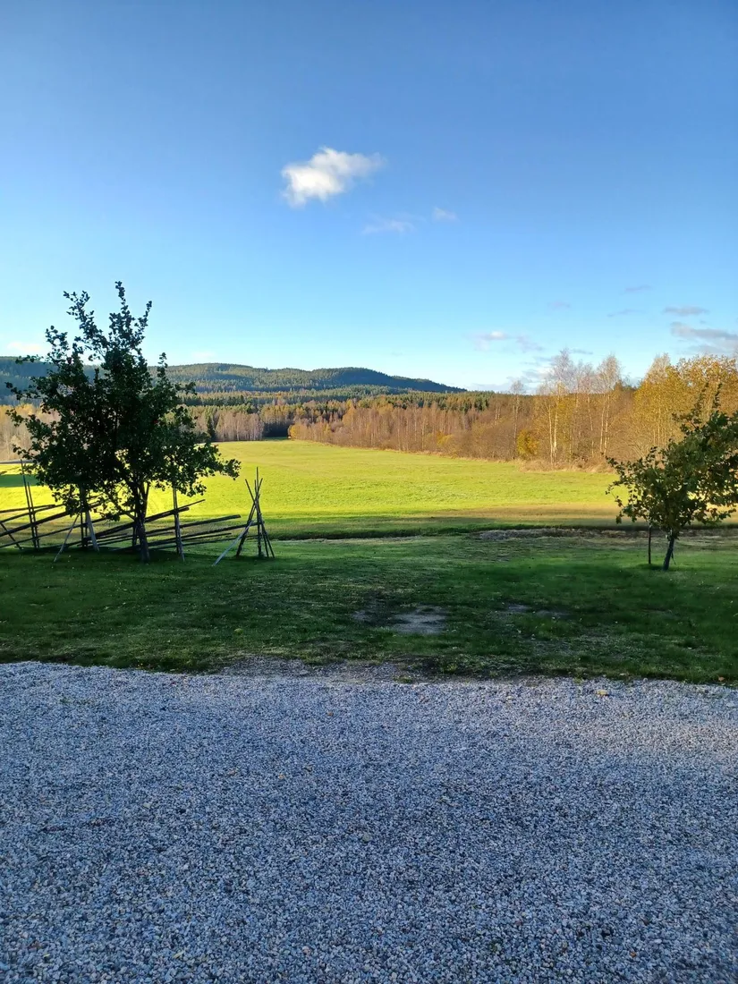 Gård/Skog, Ljusvattnet 211, Ljusvattnet, Skellefteå