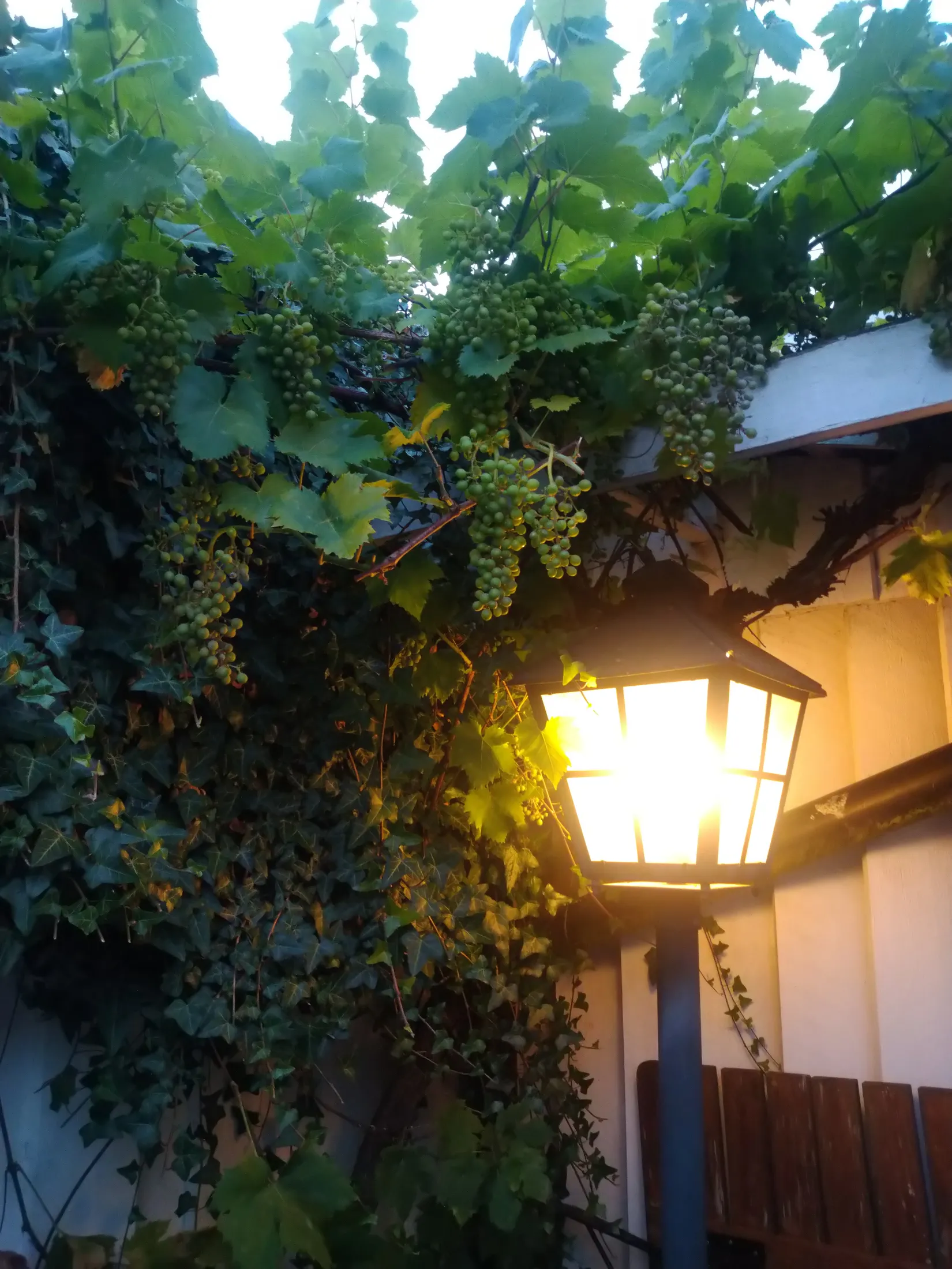 Villa, Salpetergatan 3, Kvarntorget, Landskrona