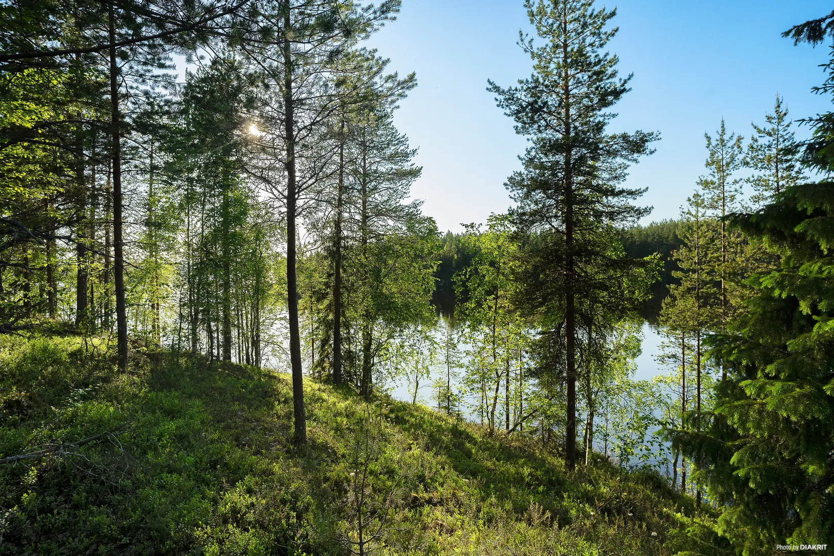 Villa, Mjöträsket 212, Mjöträsket, Kalix