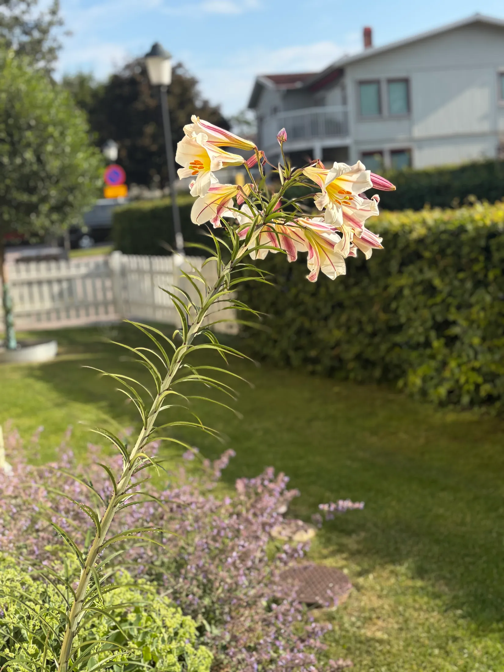 Bostadsrätt, Vallbostrand 24A, Vallbostrand, Vallentuna