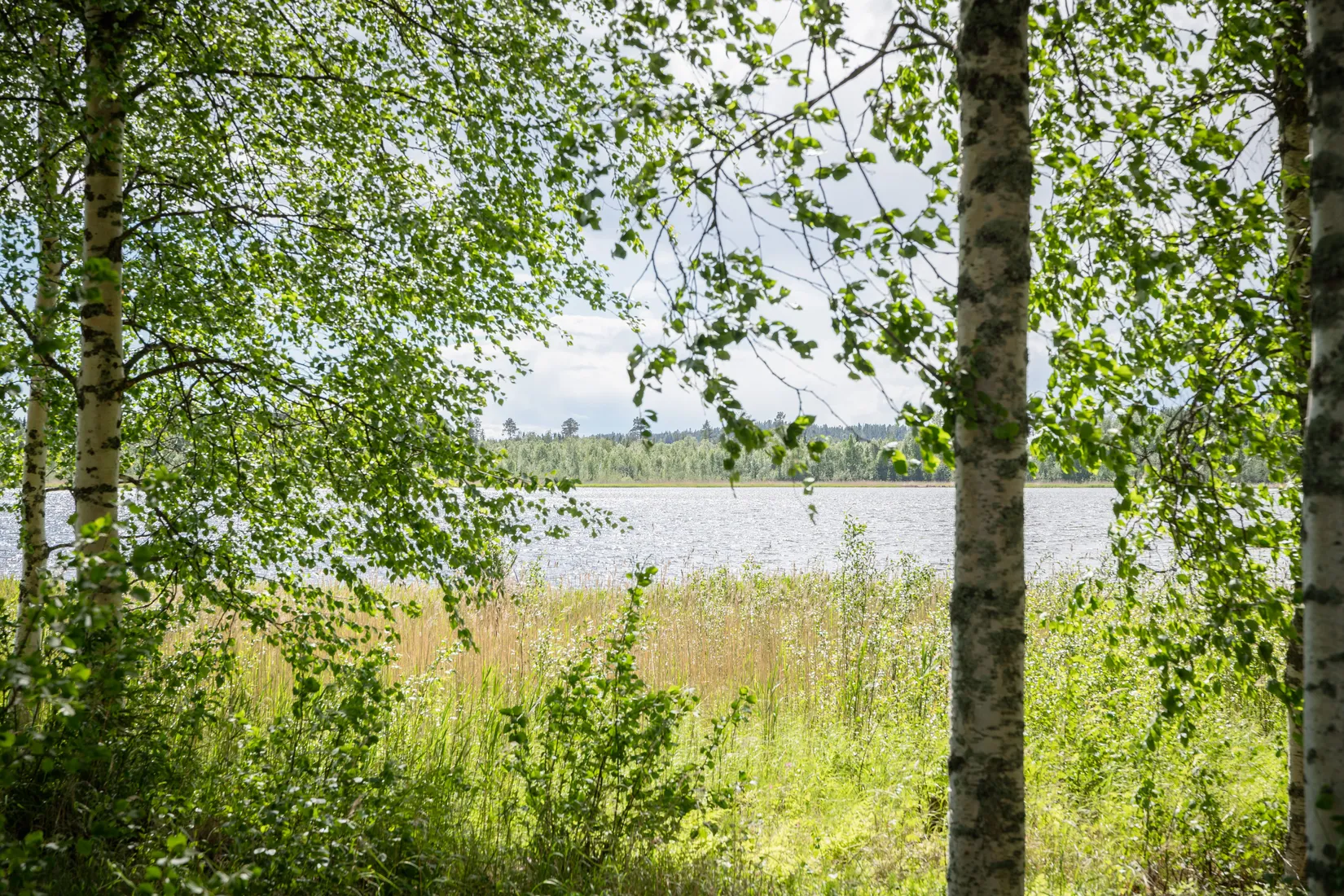 Tomt, Strandtomt i sydvästläge!, Börtnäsheden, Luleå