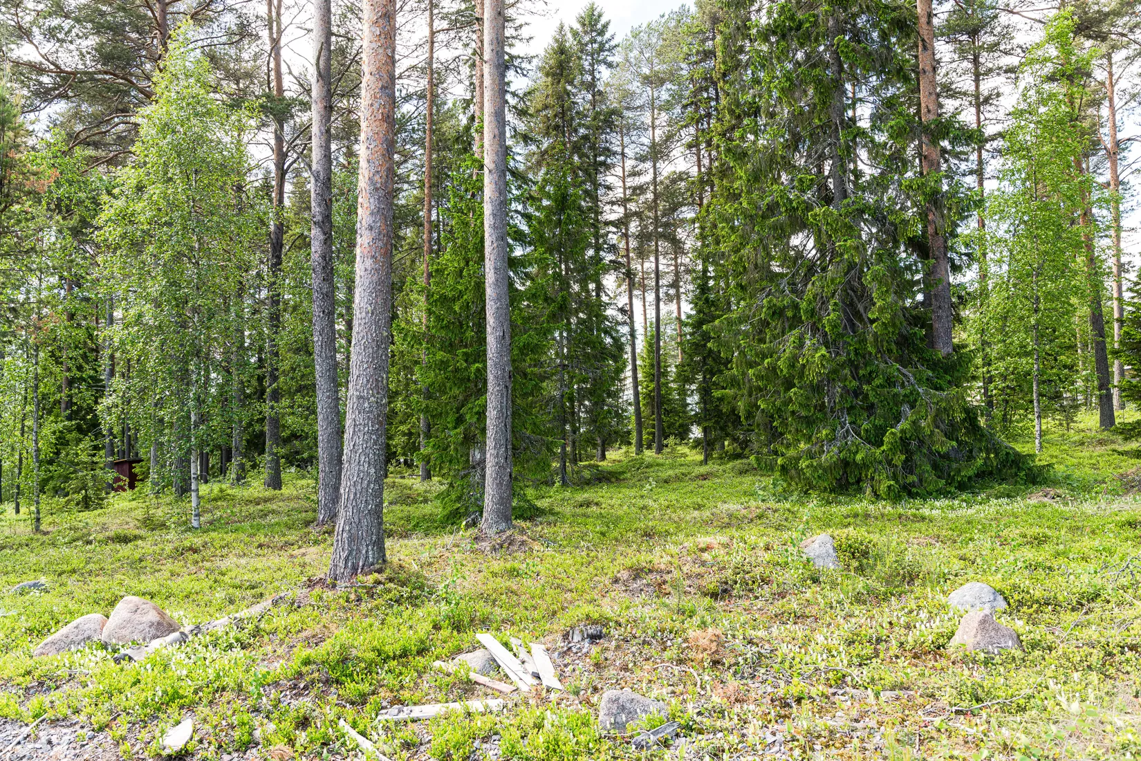 Tomt, Strandtomt i sydvästläge!, Börtnäsheden, Luleå
