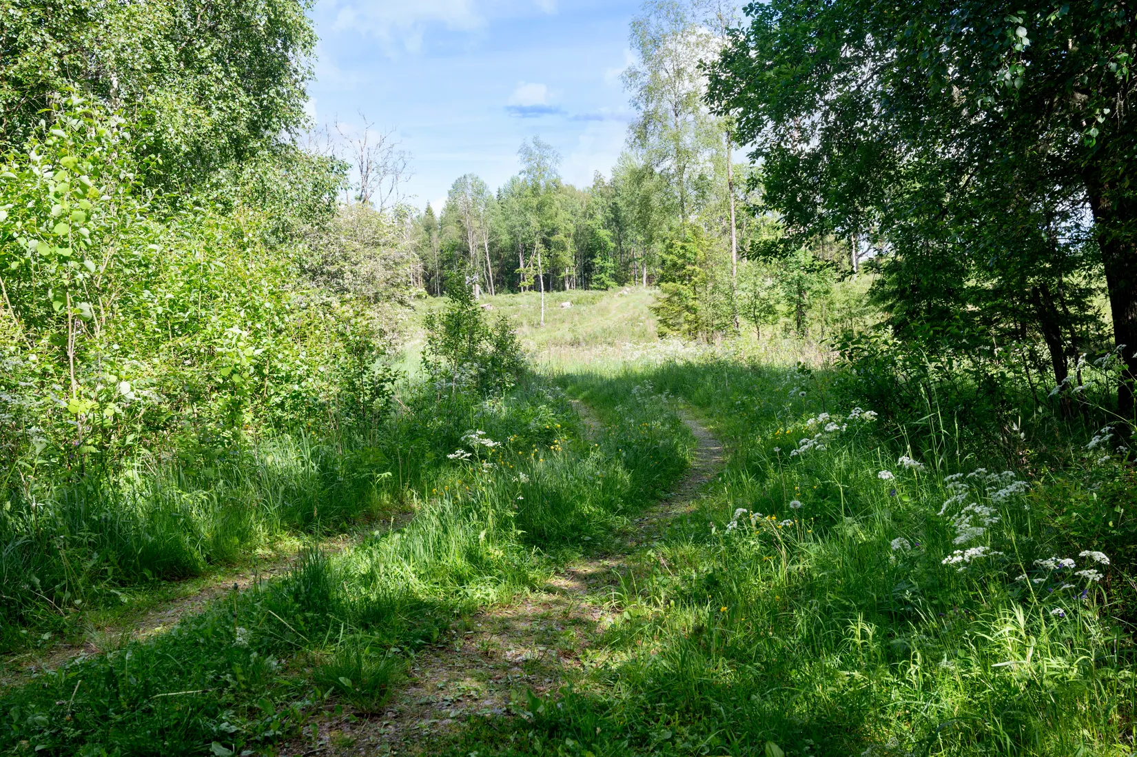 Fritidshus, Hjärttorp Pjuksteryd 1, Öra, Herrljunga