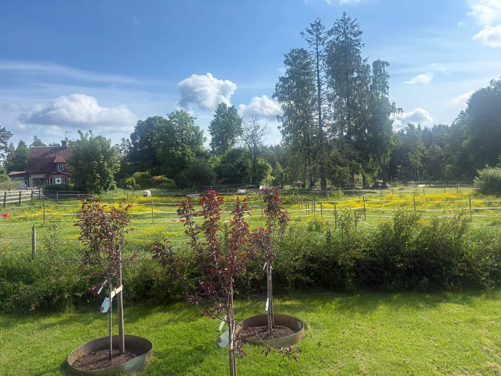 Villa, Långkärrsvägen 42, Svärtinge, Norrköping