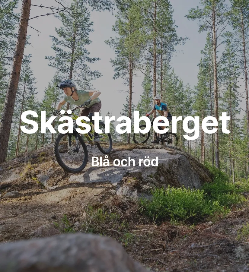Tomt, Skridsvik Granvägen 8, Järvsö, Skridsvik, Ljusdal