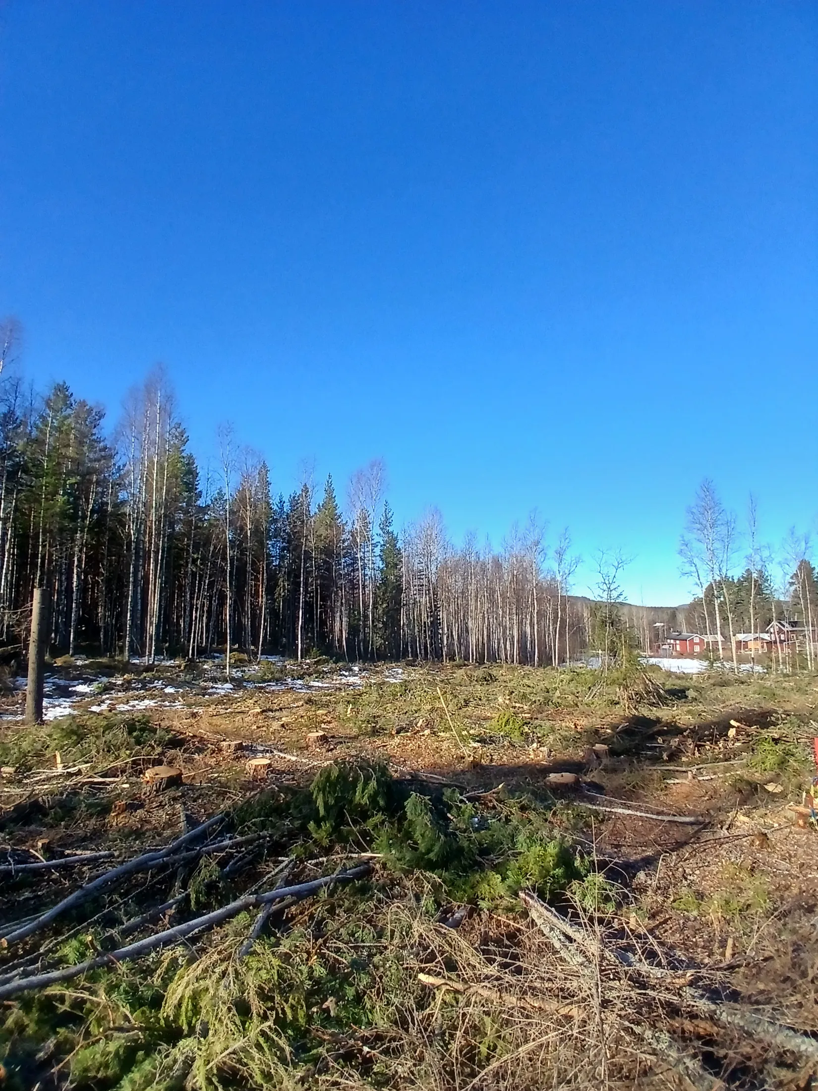 Tomt, Skridsvik Granvägen 8, Järvsö, Skridsvik, Ljusdal