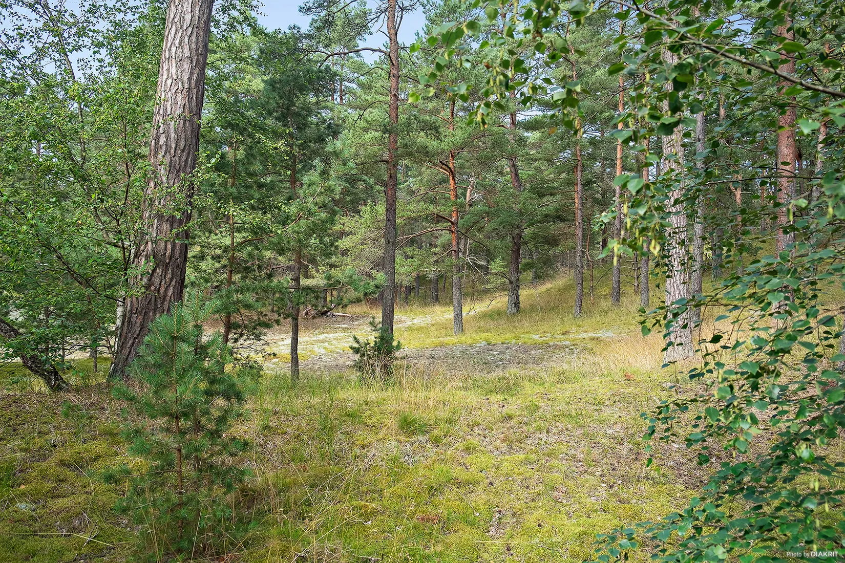 Fritidshus, Lövvägen 16, Yngsjö, Kristianstad