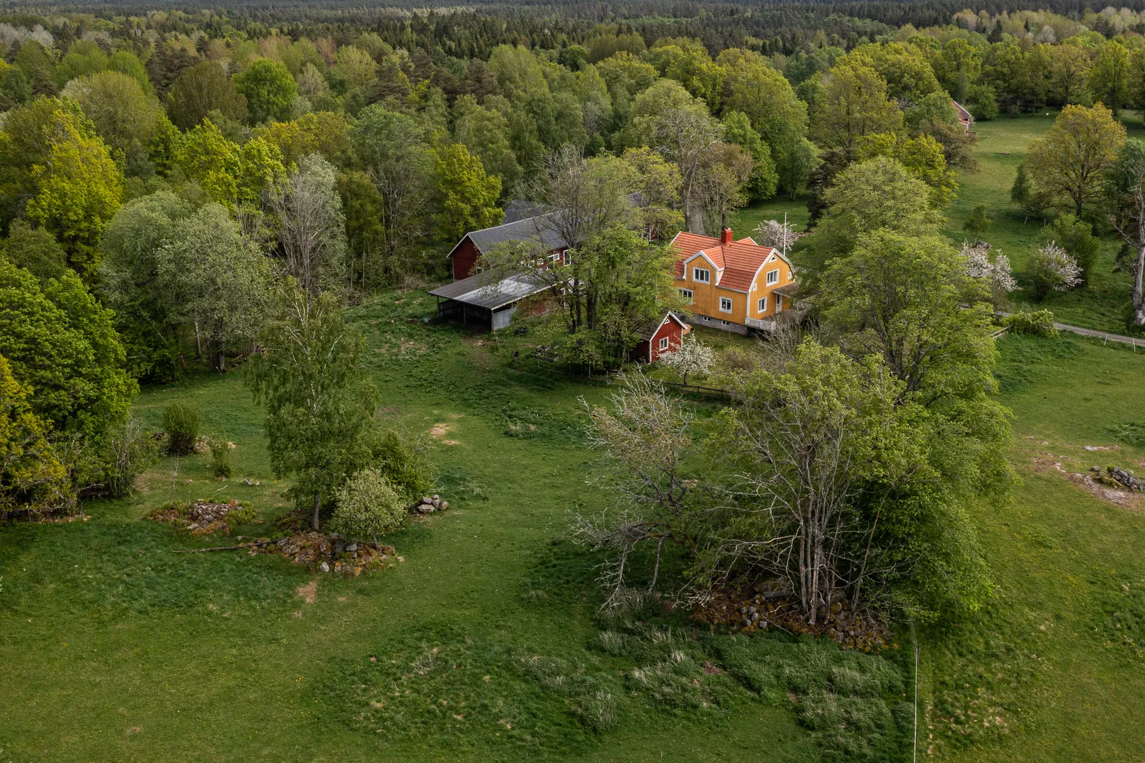 Gård/Skog, Brinkelid Ryttargården 1, Åseda, Uppvidinge
