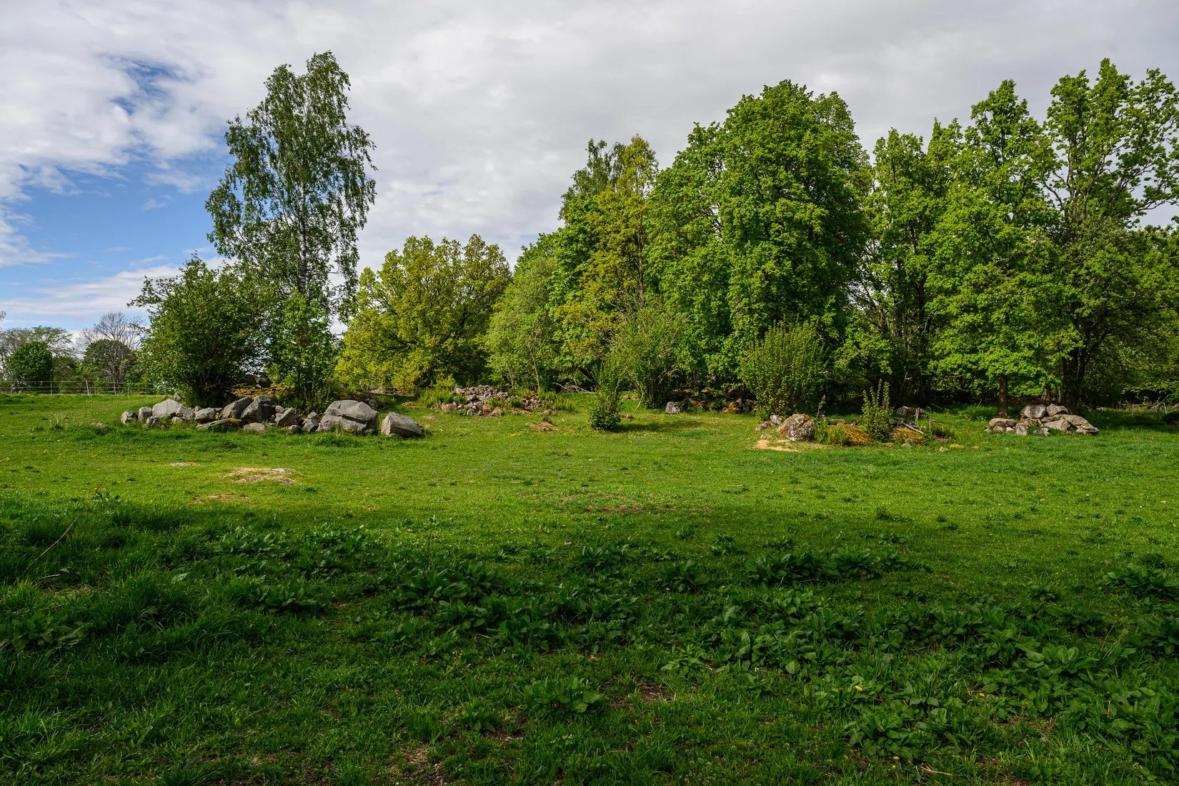 Gård/Skog, Brinkelid Ryttargården 1, Åseda, Uppvidinge
