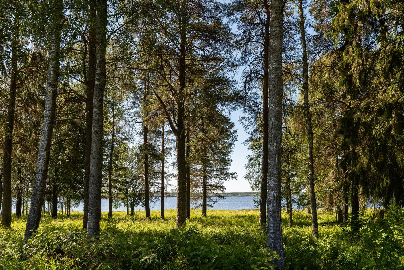 Bostadsrätt, Munkebergsgatan 46, Mjölkudden, Luleå