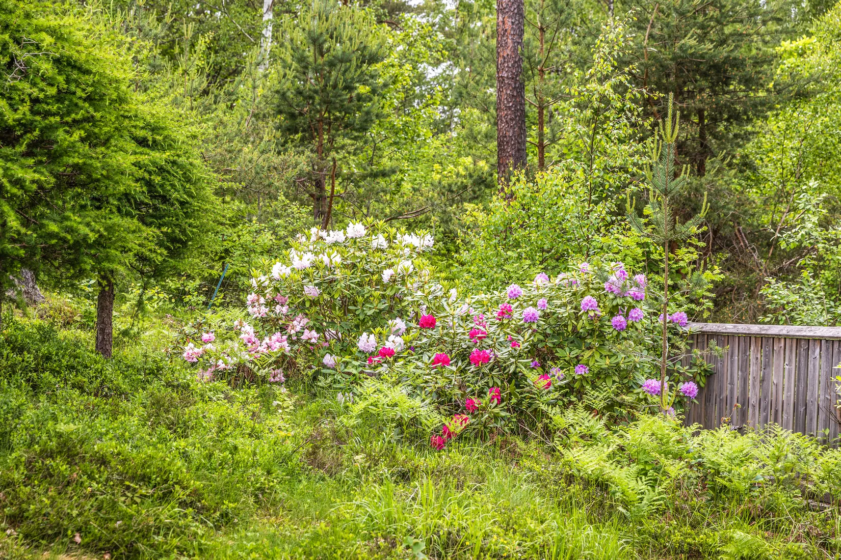 Villa, Lagmansvägen 16A, Östra Bällsta, Vallentuna
