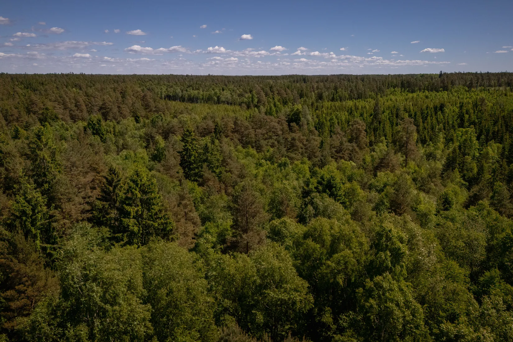 Gård/Skog, Norra Rågeboda 1161, Norra Rågeboda, Osby