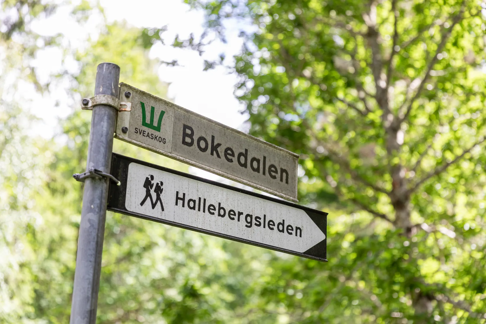 Fritidshus, Hallebergsvägen 110, Vargön, Vänersborg