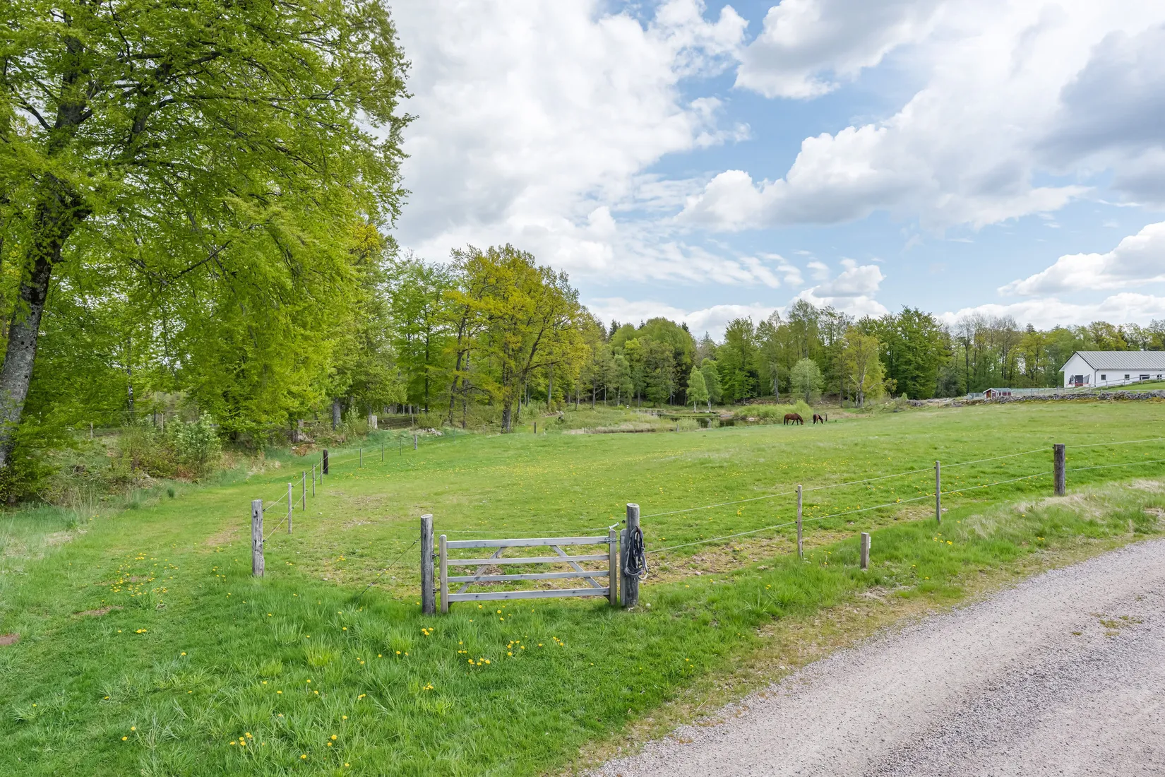 Gård/Skog, Gunghult 3131, Markaryd