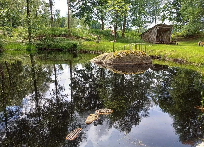 Gård/Skog, Gunghult 3131, Markaryd