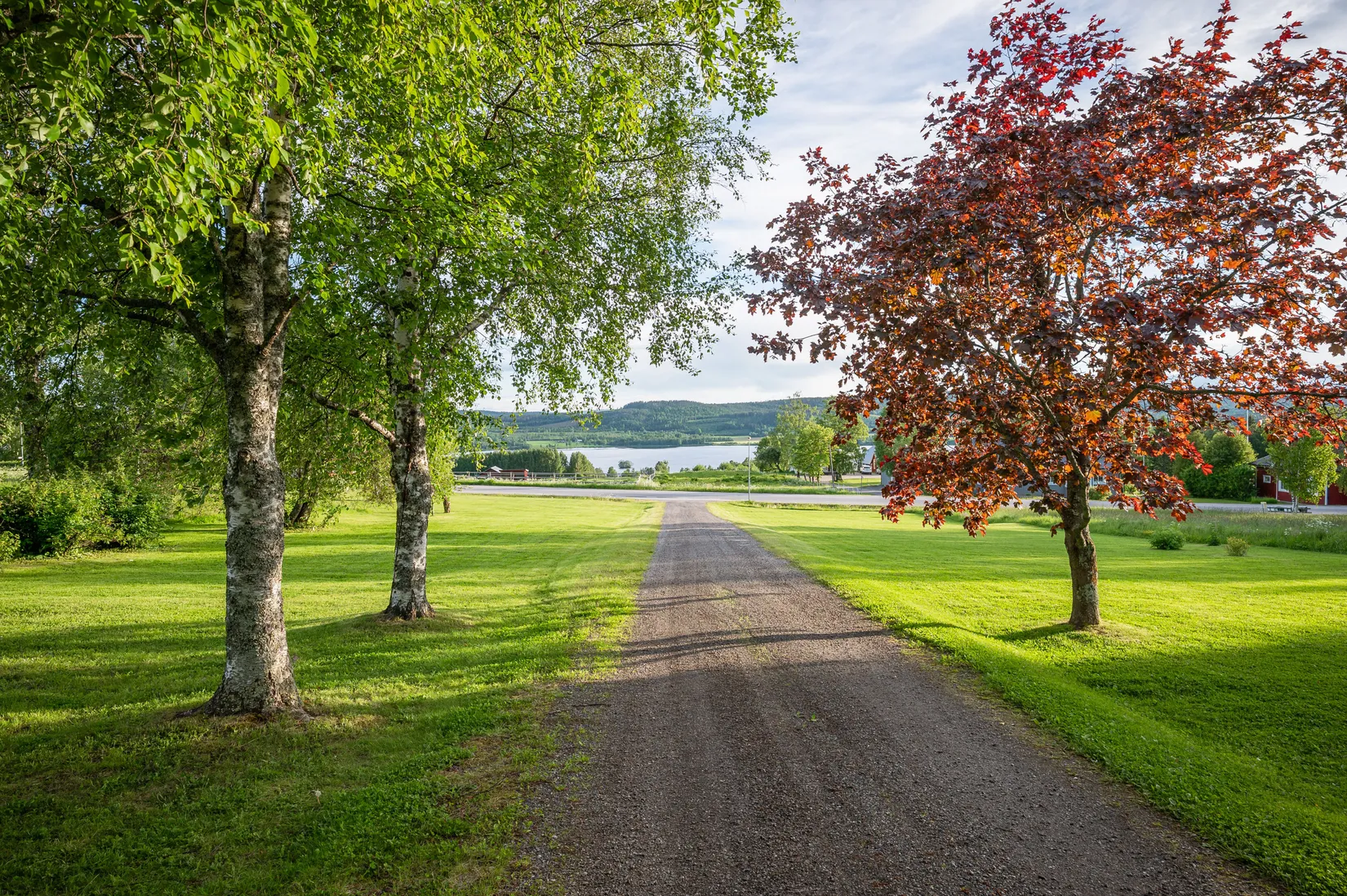 Gård/Skog, Västeralnäs 125, Själevad, Örnsköldsvik