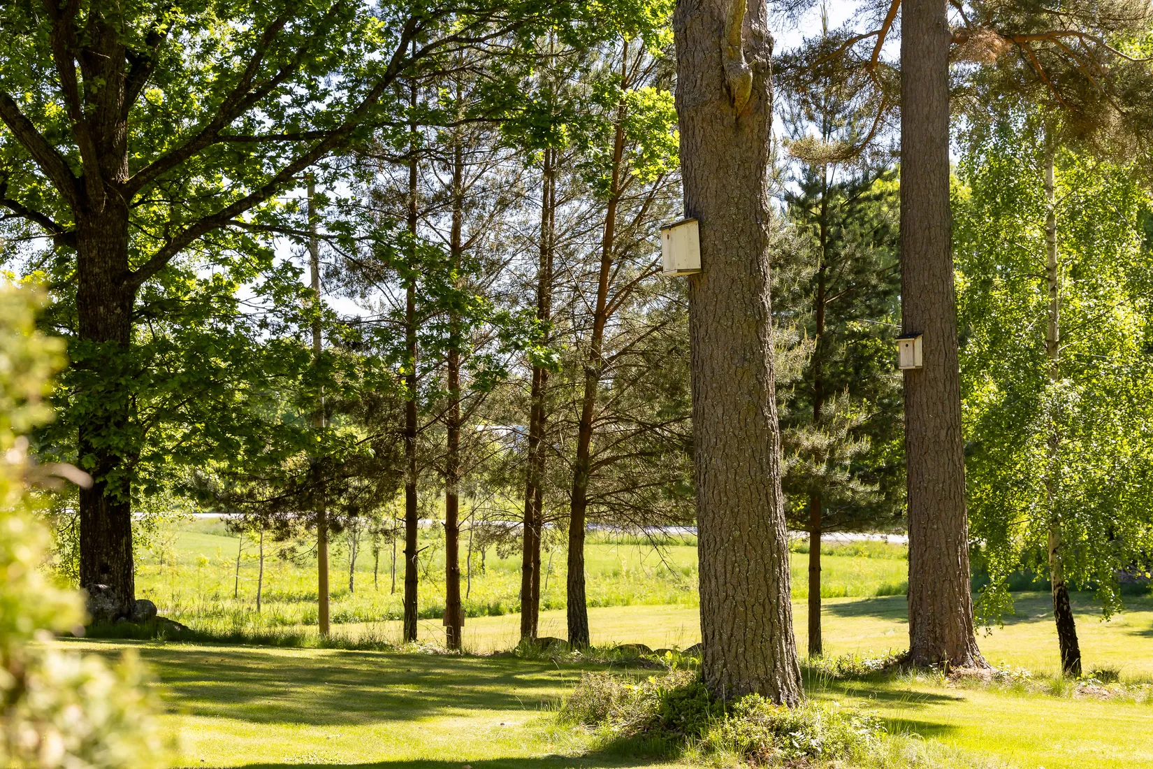 Gård/Skog, Norrbyås 515, Örebro