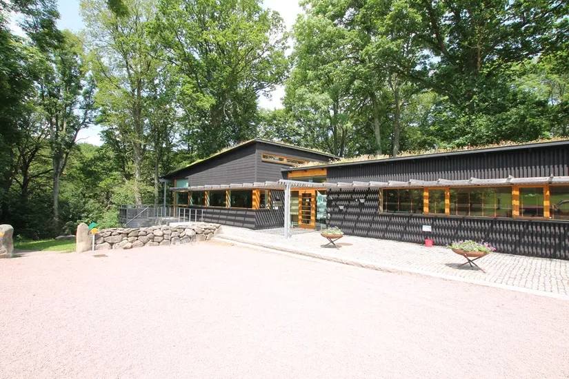 Villa, Dammgatan 3, Röstånga, Svalöv