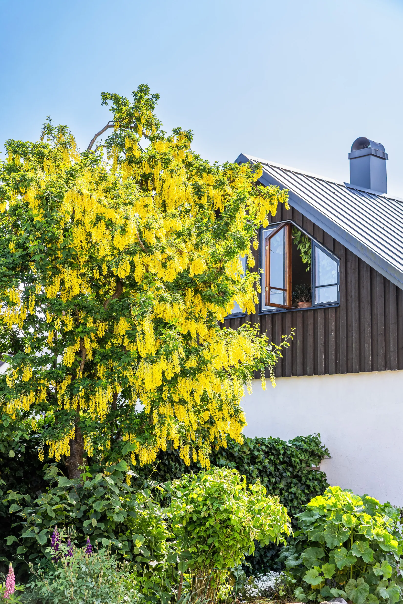 Villa, Änkegatan 1, Simrishamn