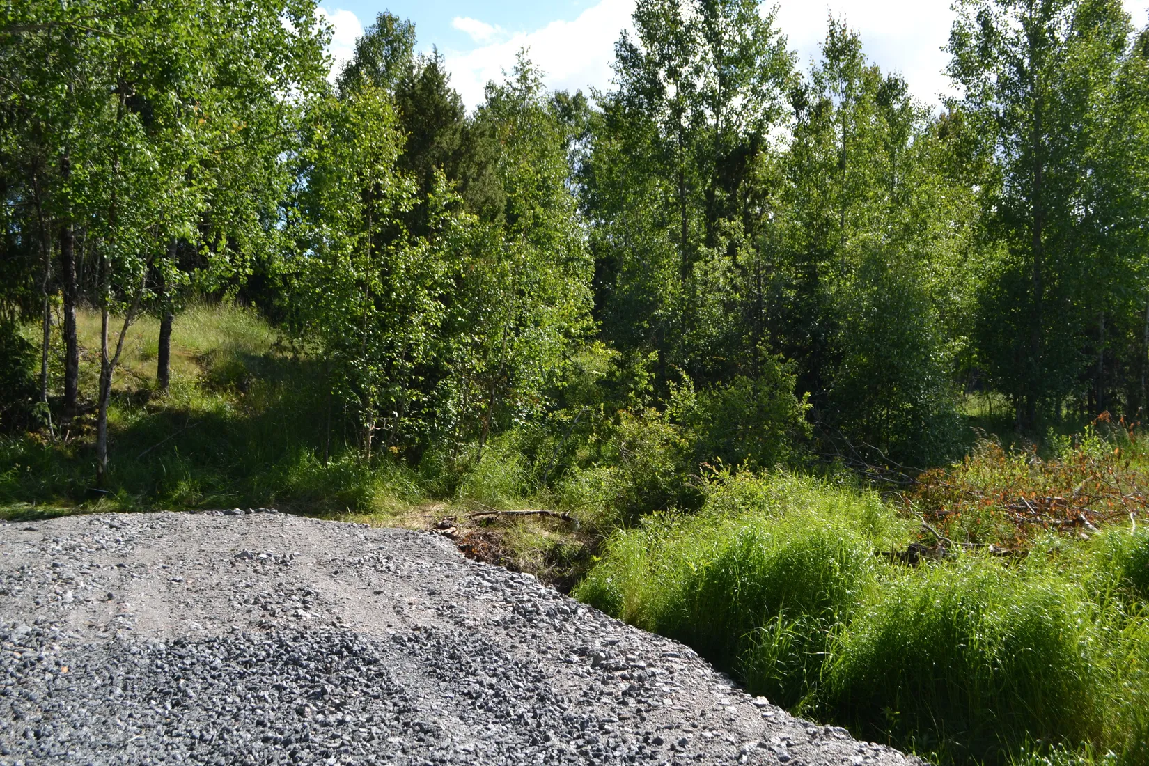 Tomt, Allemoravägen 11 D, Riala - Allemora, Norrtälje