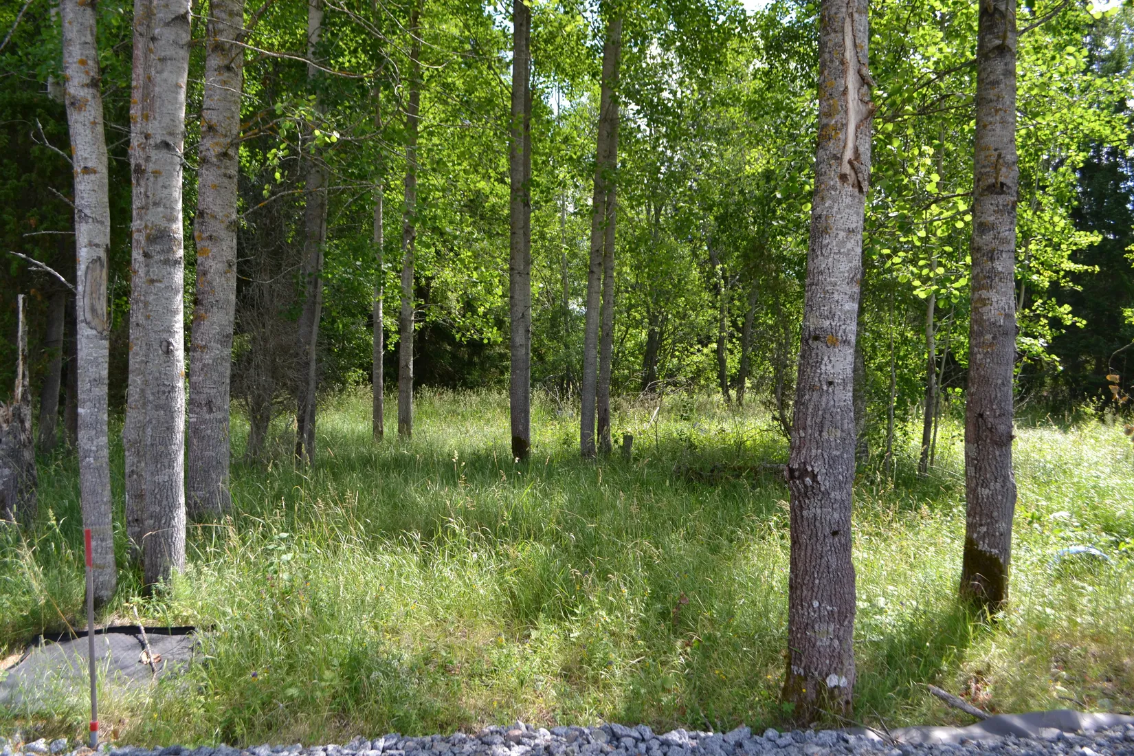 Tomt, Allemoravägen 11 D, Riala - Allemora, Norrtälje