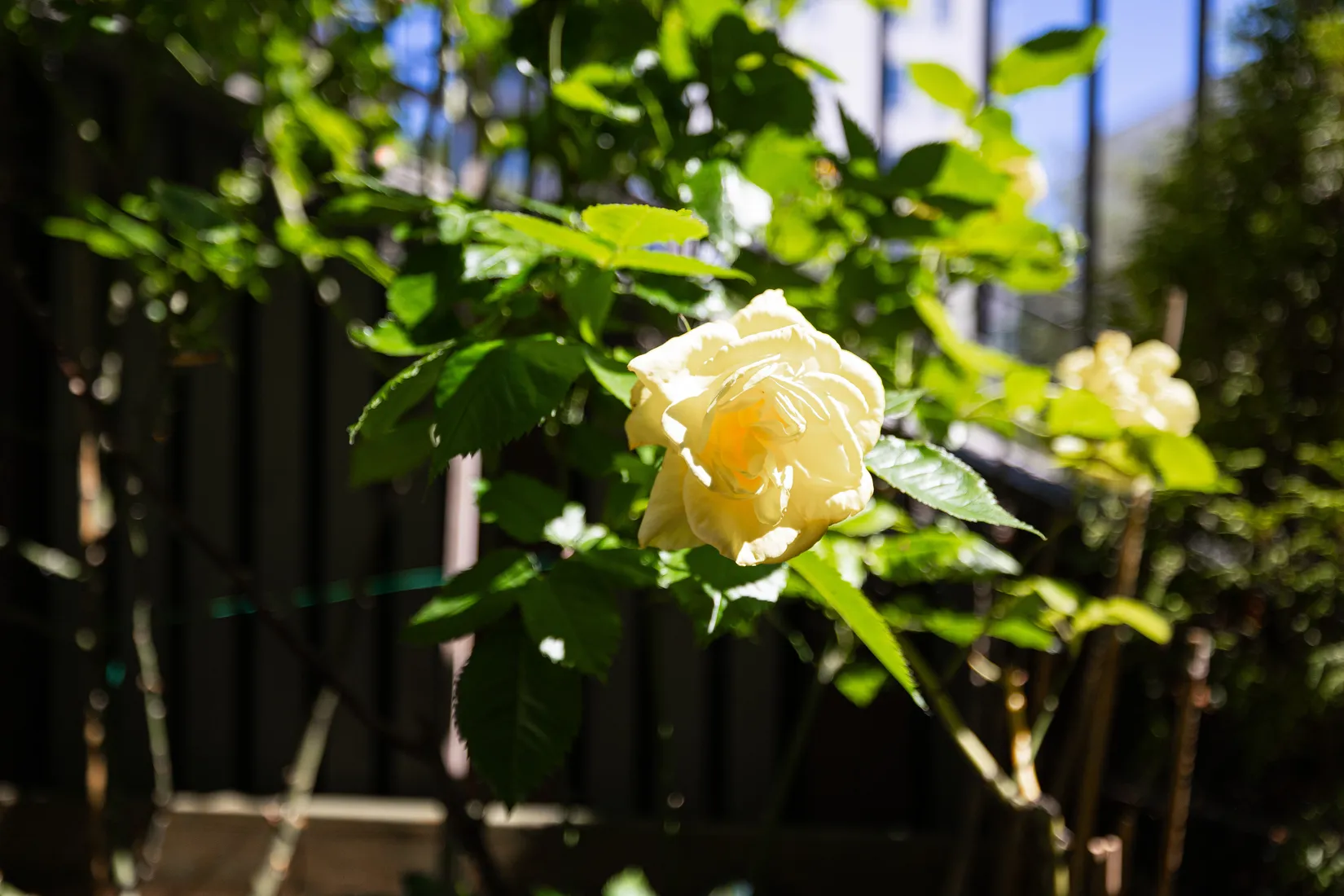 Bostadsrätt, Kavallerivägen 4A, Rissne, Sundbyberg