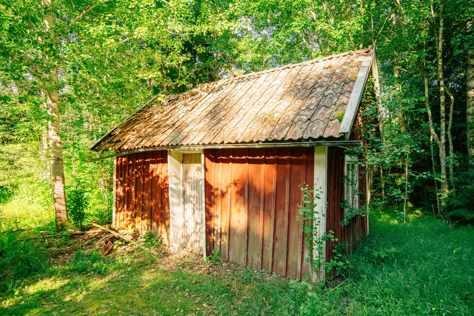 Gård/Skog, Gunnarstorp Nolgården 18, Gullspång